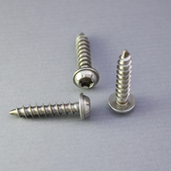 Pan Head Washer (Torx) PT Thread Forming Screw